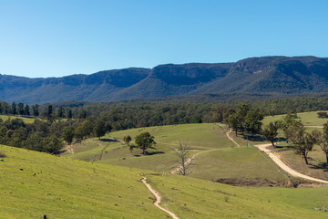 landscape in blue mountains, Australia 
