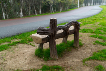 Wooden bench in the city park