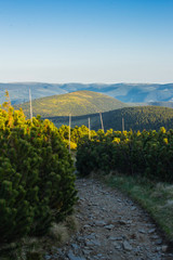 Rocky path disappearing among the bush. Rocky path leading to the hills. Jeseníky mountains, Czech Republic.