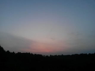 sunset coloring the clouds among the trees