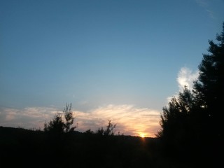 Obraz premium sunset coloring the clouds among the trees