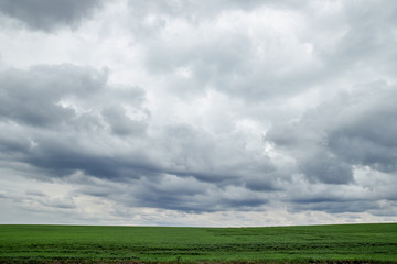 Fototapeta na wymiar cloudy sky over a green field