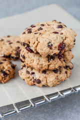 Fresh organic homemade cookies with chocolate chips and dried berries on parchment paper on cooling rack