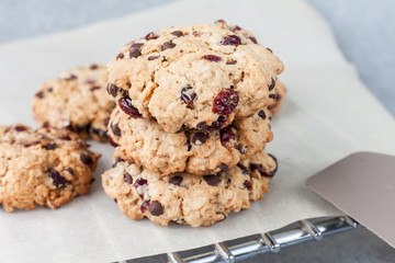 Fresh organic homemade cookies with chocolate chips and dried berries on parchment paper on cooling rack