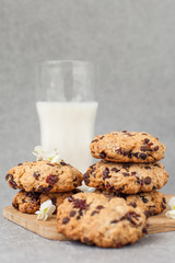 Fresh organic homemade cookies with chocolate chips and dried berries on wooden board with glass of milk on table