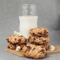 Fresh organic homemade cookies with chocolate chips and dried berries on wooden board with glass of milk on table