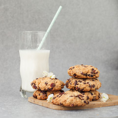 Fresh organic homemade cookies with chocolate chips and dried berries on wooden board with glass of milk on table