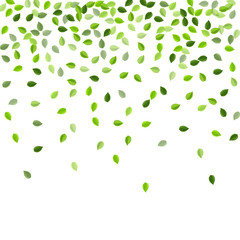 Forest Leaves Wind Vector Background. Forest Leaf 
