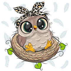 Cartoon Owl in a nest on white background