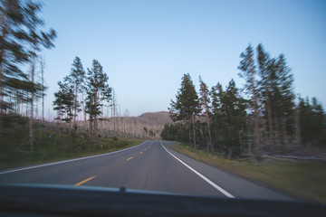 Motion on the road in the forest in twilight period of time. Middle in the focus and tree out of focus to show drive speed on the picture. Yellowstone National Park in United States, natural wallpaper