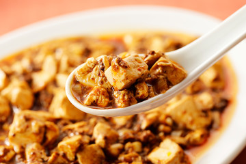 麻婆豆腐　Mapo tofu