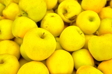 yellow apples on the market background or texture