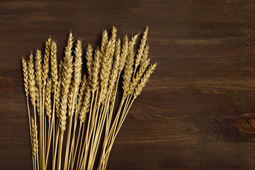 Bunch of wheat ears close up on dark brown wooden background. Autumn harvest of grain crops. Top view banner and copy space. Rustic style.