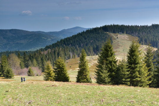 Gorce - Polana Podskały widok na Gorc