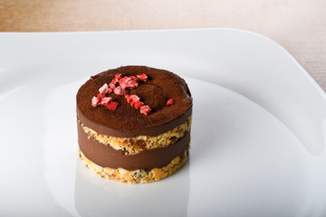 Vegan chocolate cake, no milk no dairy, no sugar, no gluten gluten free dessert. Healthy eating