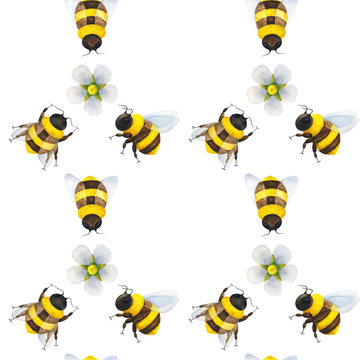 Bees pollinate flowers. Seamless pattern with insects and a flower on a white background. Summer ornament. Day of the beekeeper. The world day of protection of bees. Stock images for printing 