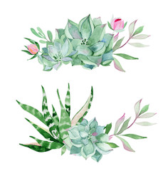 Set of watercolor succulent plants. Green succulent arrangements.