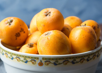 Loquat Japanese medlar fruit in bowl on dark background