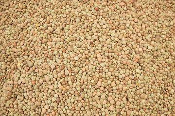 raw lentil seed background or texture concept