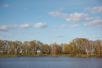Obraz premium Spring landscape near the river