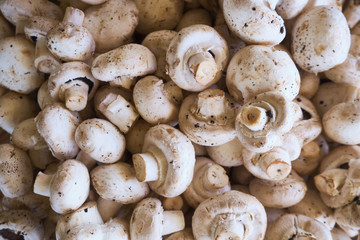 champignon mushrooms or agaricus background or texture