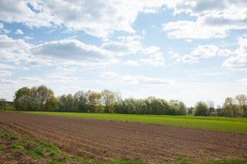 The rural landscape in the spring
