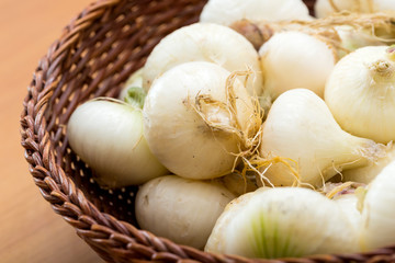 Cipolle Bianche