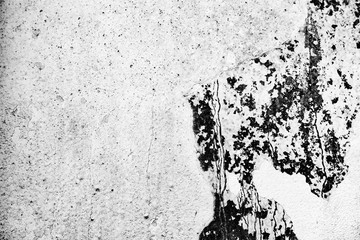 Texture of a concrete wall with cracks and scratches which can be used as a background