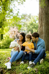 Naklejka na ściany i meble Beautiful happy family is having fun with maltese dog under the tree outdoors