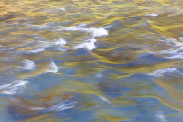 Reflejos de primavera sobre el río Freser (riu Freser). Campdevànol, el Ripollès, Girona, Catalunya