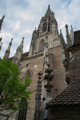 Fototapeta premium Germany city Ulm, Ulm Cathedral