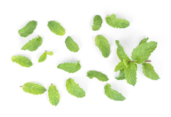 mint leafs isolated on a white background