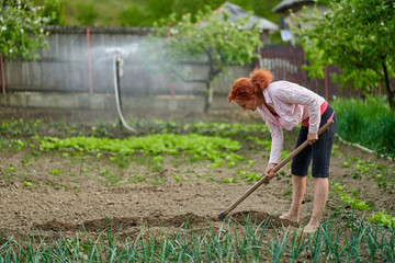 Woman hoeing in her garden