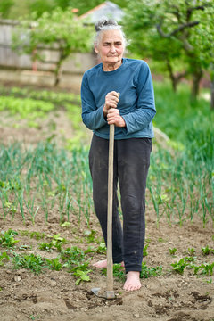 Old woman farmer in the garden
