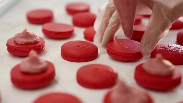 Process of making macaron macaroon, french dessert, squeezing the dough form cooking bag