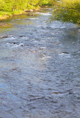 Reflejos de primavera sobre el río Freser (riu Freser). Campdevànol, el Ripollès, Girona, Catalunya