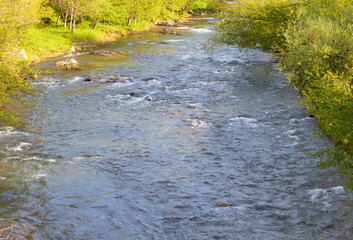 Reflejos de primavera sobre el río Freser (riu Freser). Campdevànol, el Ripollès, Girona, Catalunya