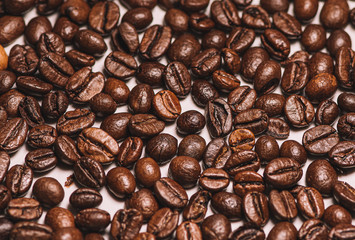 Roasted coffee beans scattered in close-up photo