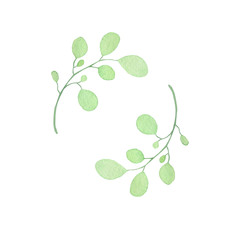 frame of twigs of eucalyptus. Design for printing
