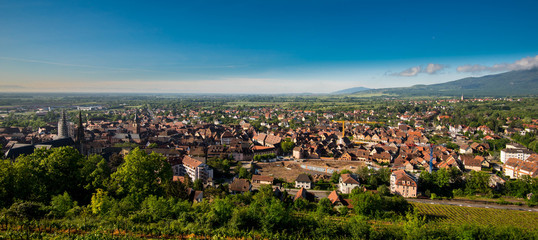 Blick auf obernai im Elsass