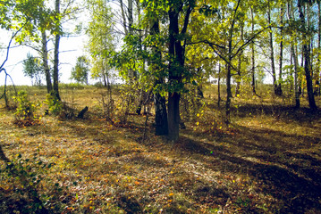 landscape of Central Russia in autumn, Tula region