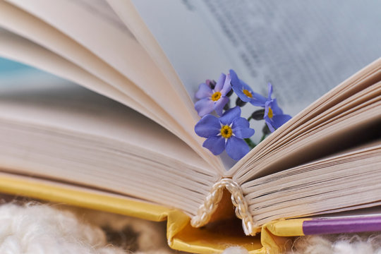 macro photo open books with a spring flowers nostalgic romantic mood concept