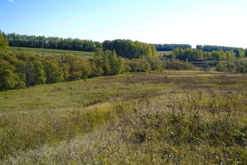 Naklejka premium landscape of Central Russia in autumn, Tula region
