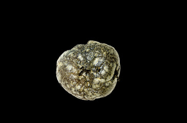 Karoffel- vertrocknet