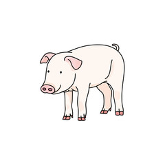 ブタ