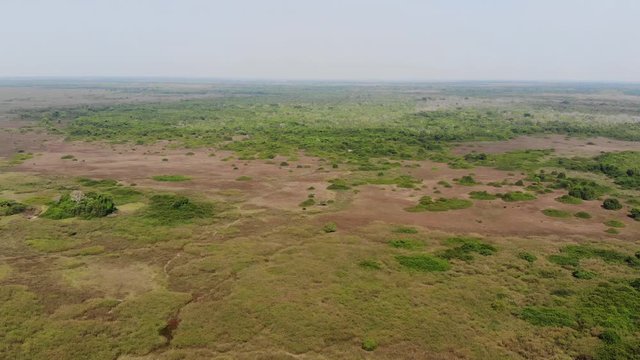 &Uuml;bersicht und Sinkflug einer Drohne im brasilianisches Pantanal - Savanne und Buschwald