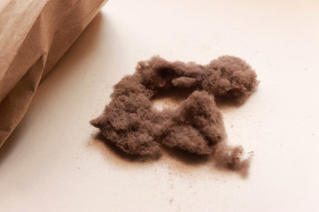 Bunch of Dust and One Paper Bag