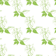 Decorative vector flower.Seamless pattern.Vector..Illustration on white and color background.