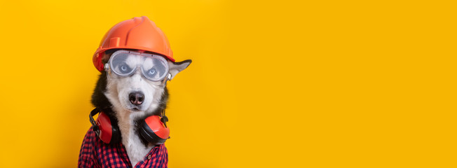 Cute husky dog worker in builder glasses, helmet and headphone to ear protection, banner, copy space