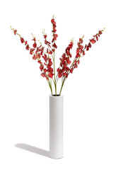 Subject shot of a cylindrical white vase with several twigs of red orchids in it. The vase with flowers is isolated on the white background.  